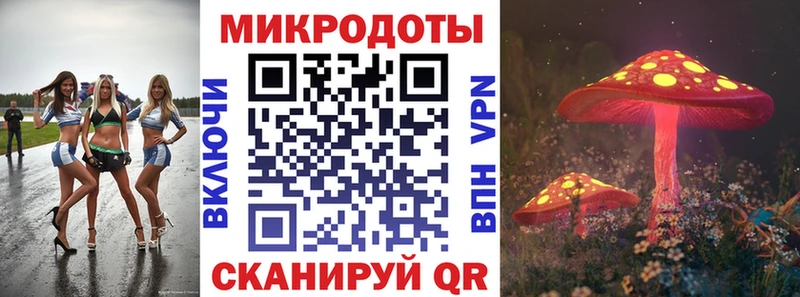 купить наркотик  Эртиль  Галлюциногенные грибы Cubensis 